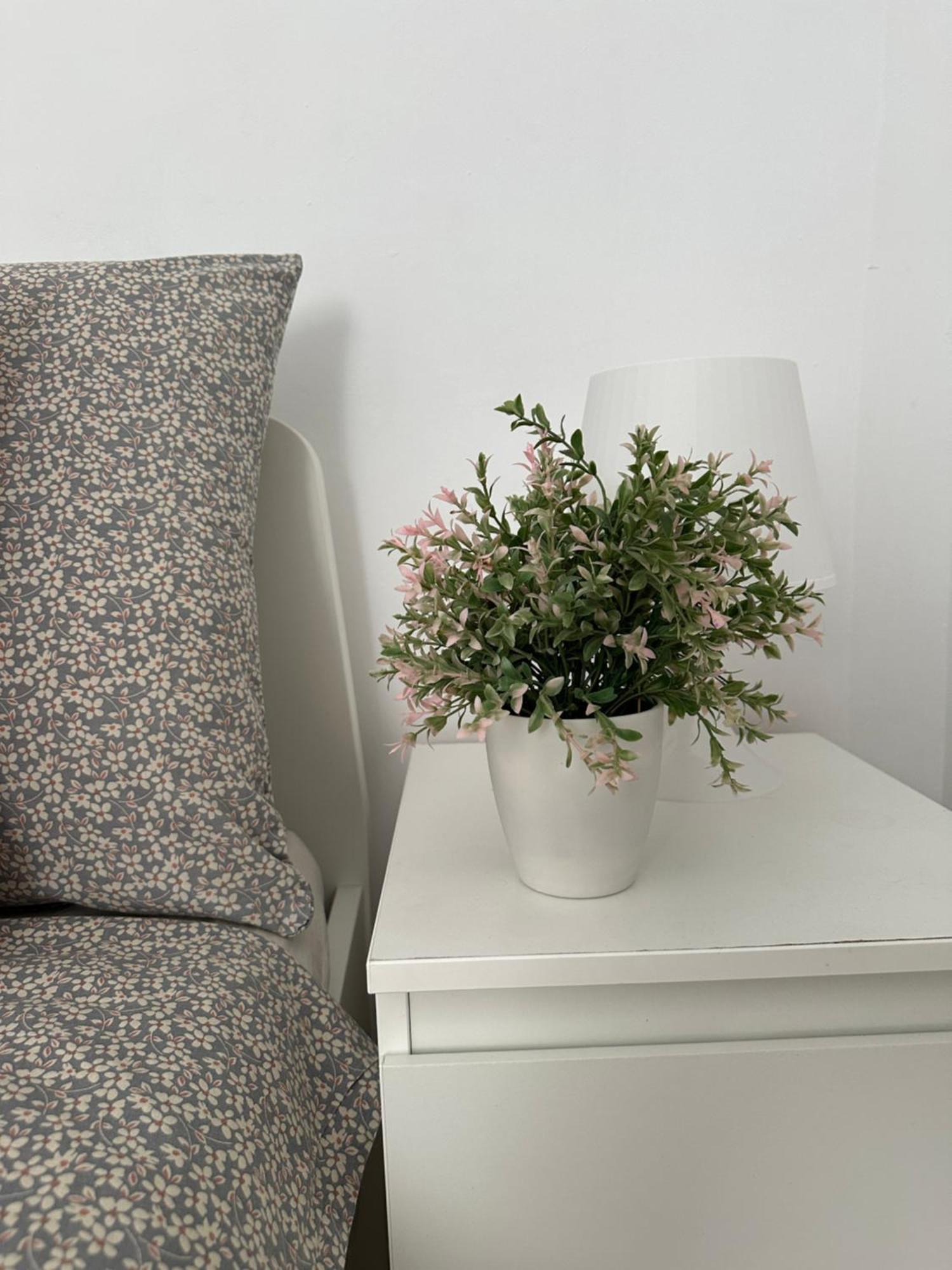 Modern And Bright 5 Bedroom Apartment Del Prado ガンディア エクステリア 写真