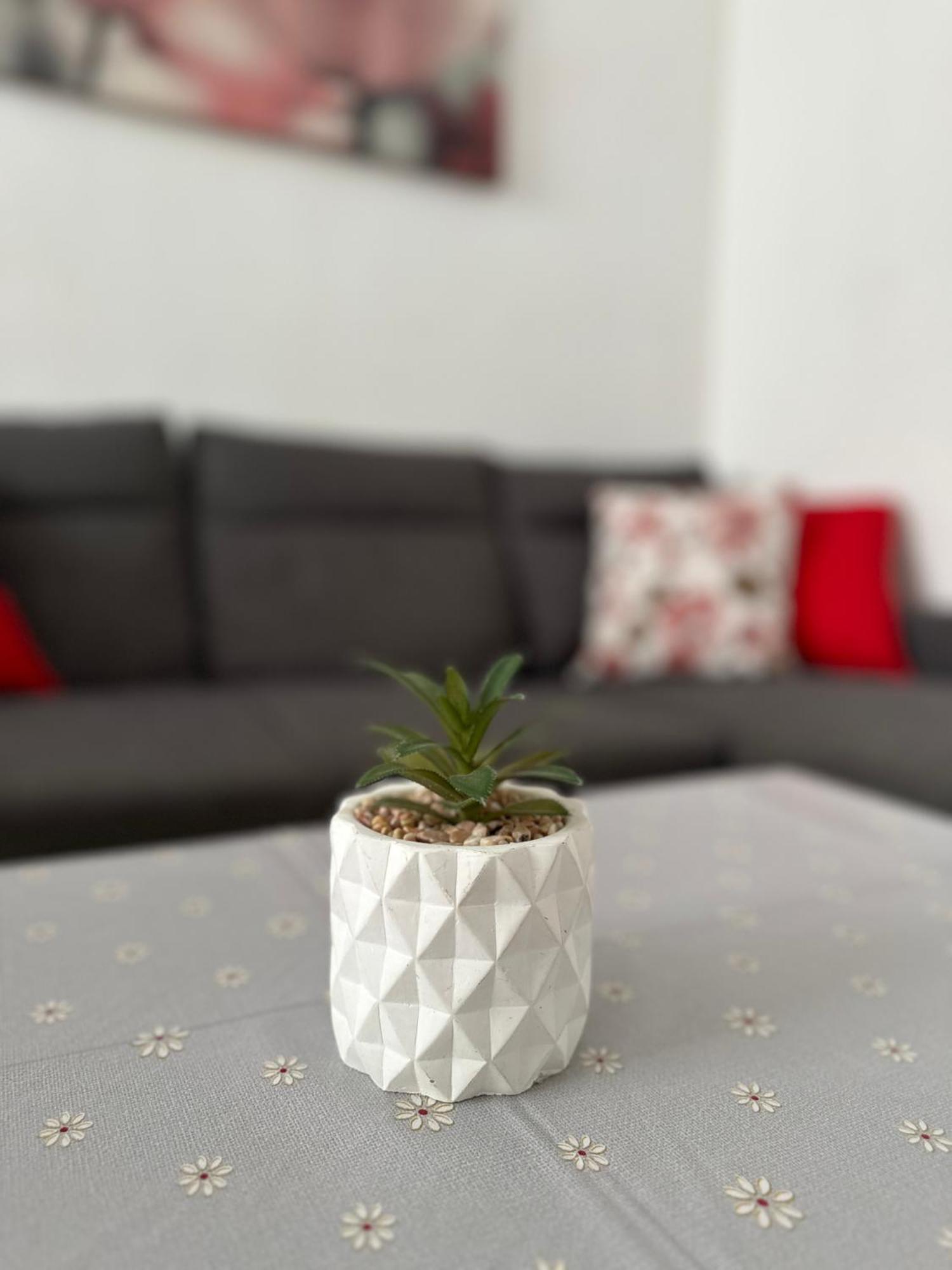 Modern And Bright 5 Bedroom Apartment Del Prado ガンディア エクステリア 写真